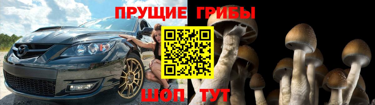 Галлюциногенные грибы GOLDEN TEACHER Лабытнанги