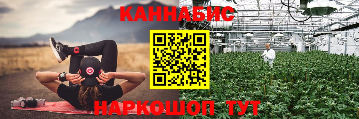 Конопля план Лабытнанги
